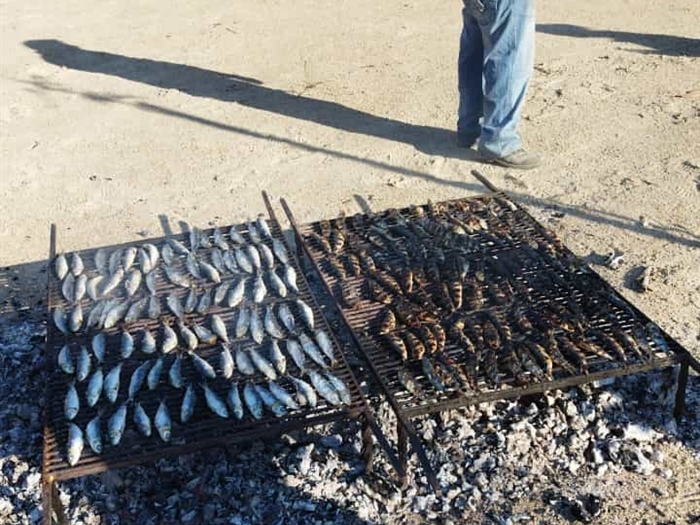 somoscomarca_aveiga_sardiñadanoitedesanxoan_202320231593 (2)