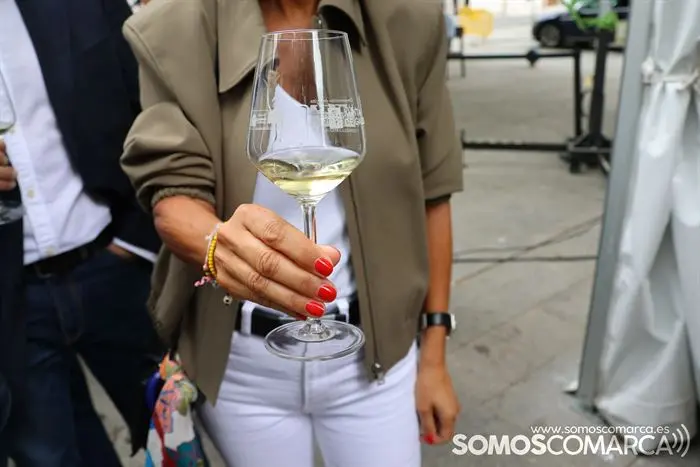 somoscomarca_viloira_godello_copagodello_feriadelvino_feiradoviño_202320231902 (98)