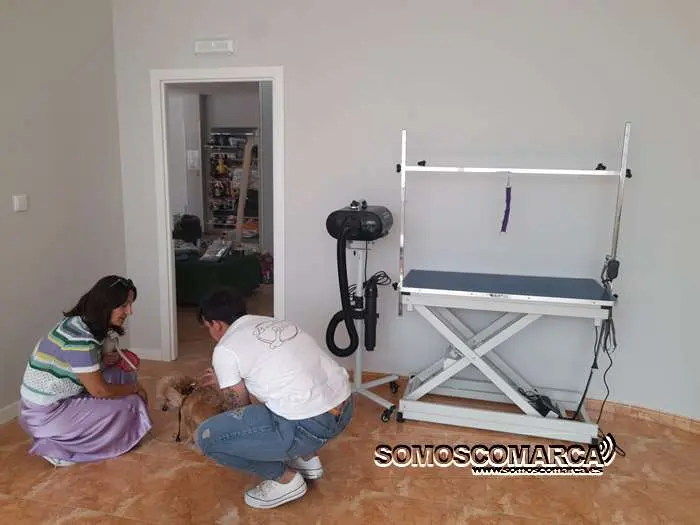 somoscomarca_obarco_inauguracion_tiendamascotas_boutiquedemussa (13)