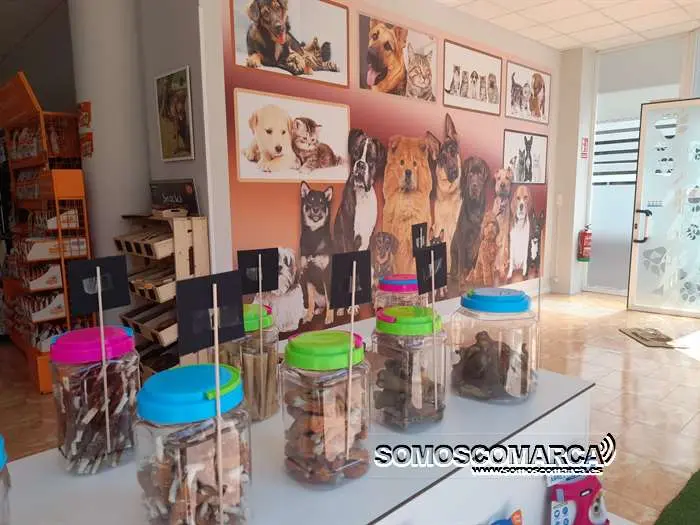 somoscomarca_obarco_inauguracion_tiendamascotas_boutiquedemussa (16)