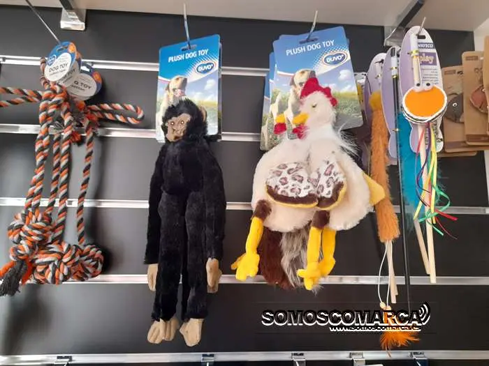 somoscomarca_obarco_inauguracion_tiendamascotas_boutiquedemussa (18)
