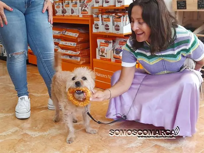 somoscomarca_obarco_inauguracion_tiendamascotas_boutiquedemussa (24)