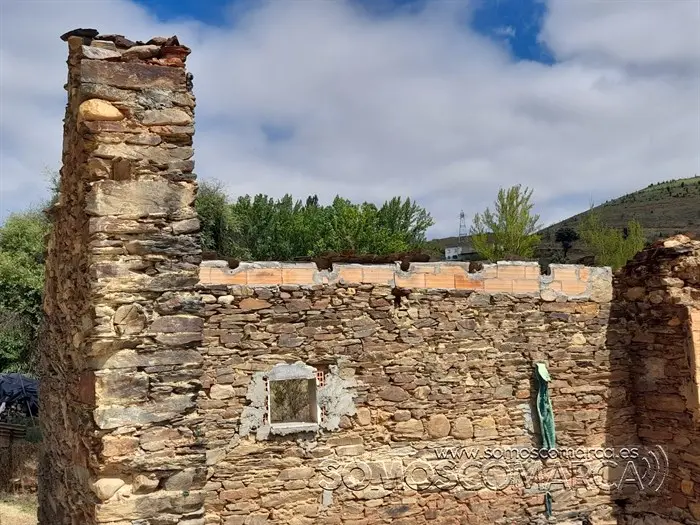 somoscomarca_rubia_aveigadecascalla_2023 (16)