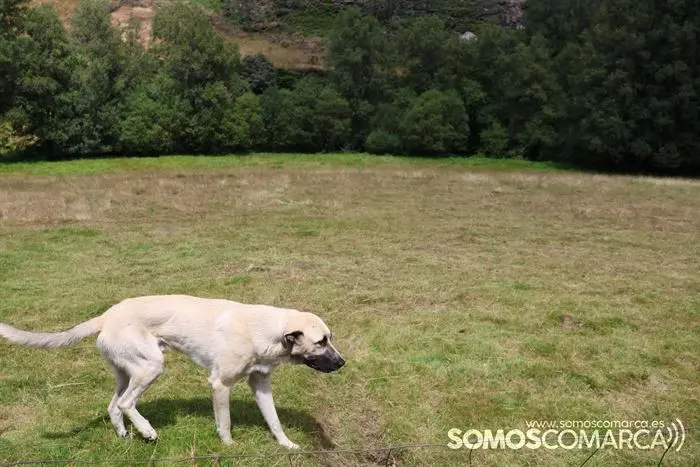 somoscomarca_vilariñodeconso_arearecreativacenza_pradoalbar_asportas_columpio_rutaplata_20232084 (23)