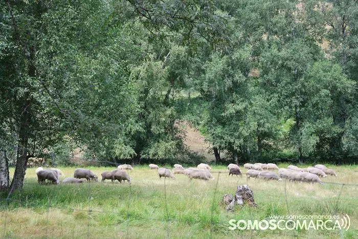 somoscomarca_vilariñodeconso_arearecreativacenza_pradoalbar_asportas_columpio_rutaplata_20232084 (24)