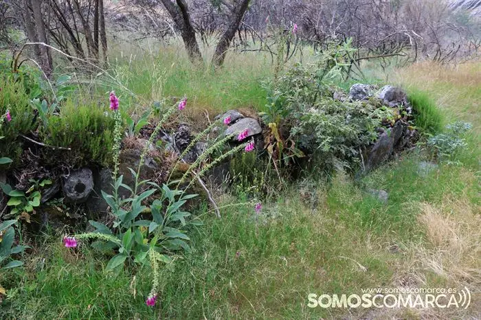 somoscomarca_vilariñodeconso_arearecreativacenza_pradoalbar_asportas_columpio_rutaplata_20232084 (25)