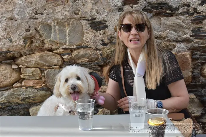 somoscomarca_veigamuiños_perro_perrohumanizado_perrosentado (4)