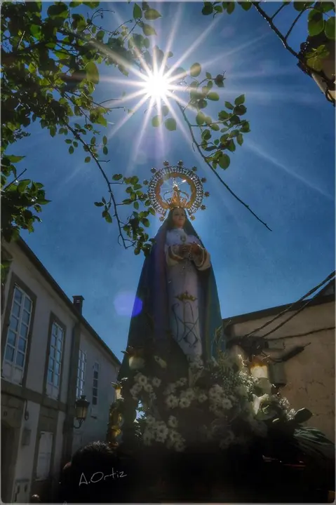 Fotografías cedidas de la procesión de San Roque y la Asunción, en Viana realizadas por J.L. Ortíz.  (1)