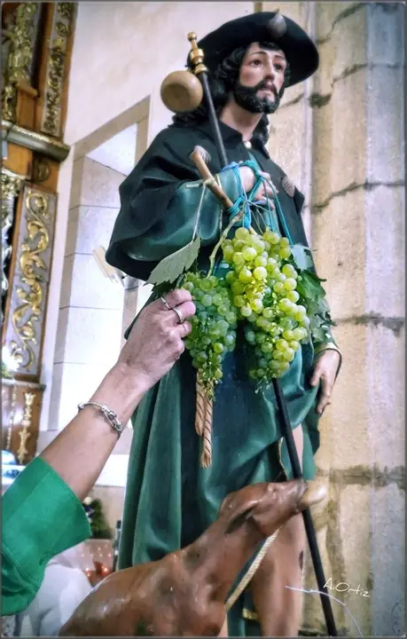 Fotografías cedidas de la procesión de San Roque y la Asunción, en Viana realizadas por J.L. Ortíz.  (2)
