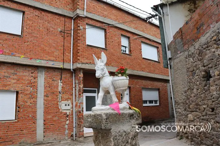 somoscomarca_20232762