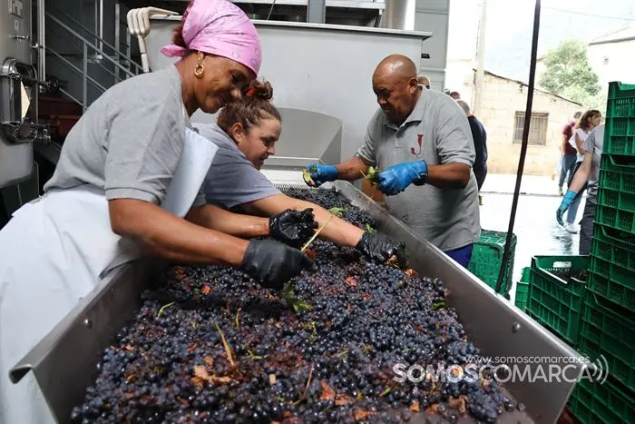 somoscomarca_20233195