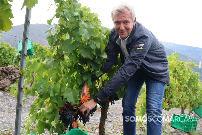 somoscomarca_20233207