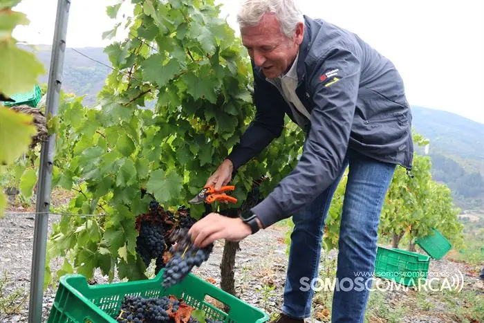 somoscomarca_20233208