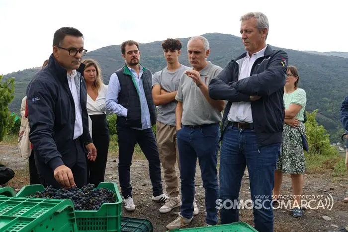 somoscomarca_20233209