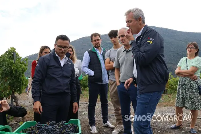 somoscomarca_20233210