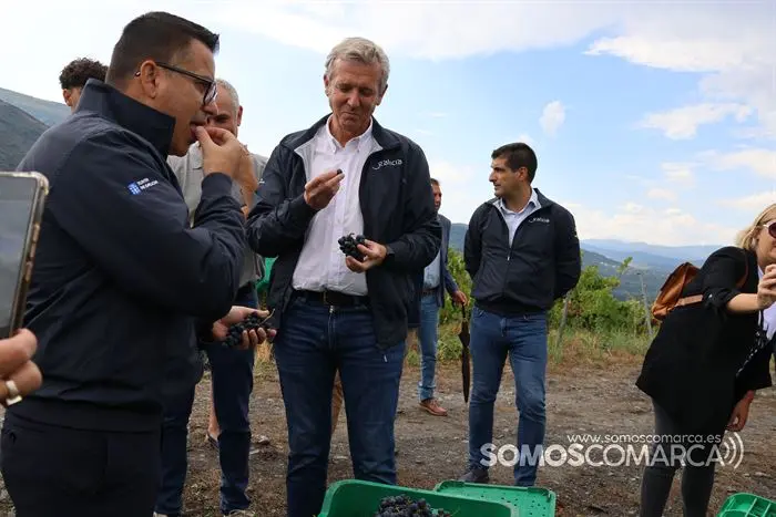 somoscomarca_20233211