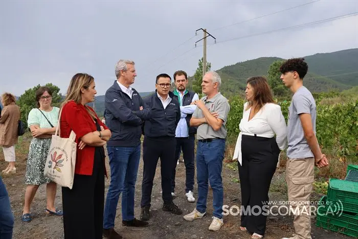 somoscomarca_20233212