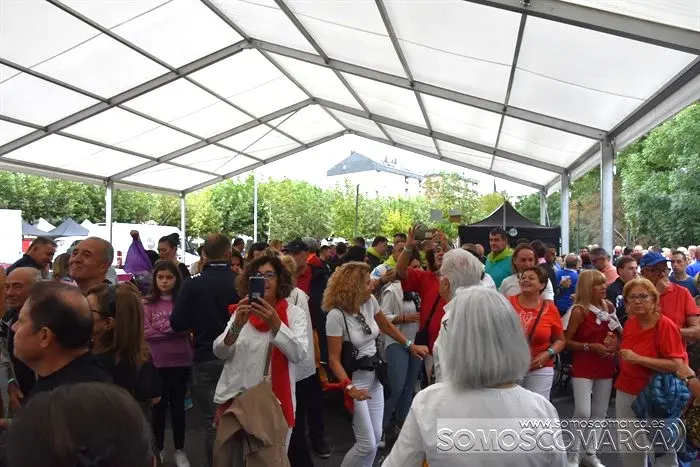 somoscomarca_obarco_festadaspandillas_concierto_losiñigos_2023 (10)