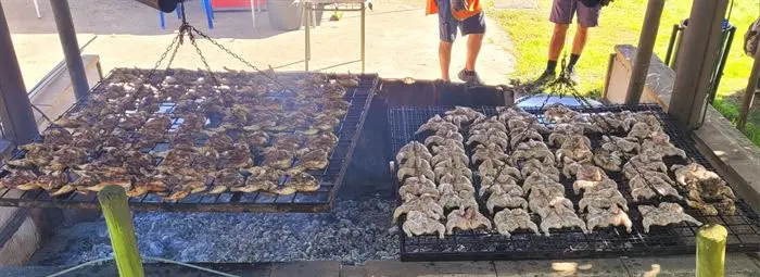 somoscomarca_culleredo_andaina_clubpeñatrevinca_ruta_tunelesdeculleredo20233514 (2)