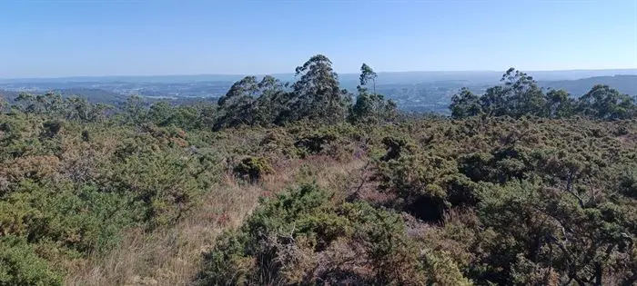 somoscomarca_culleredo_andaina_clubpeñatrevinca_ruta_tunelesdeculleredo20233514 (5)