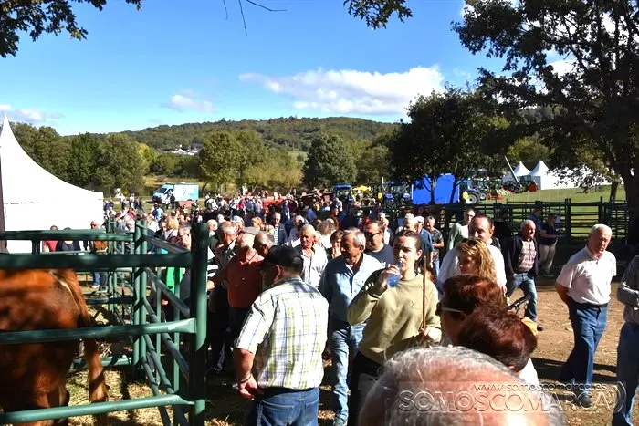 somoscomarca_aveiga_inauguracion_feriaganadera_2023 (13)