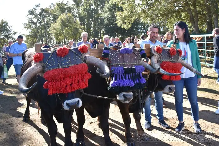 somoscomarca_aveiga_inauguracion_feriaganadera_2023 (17)