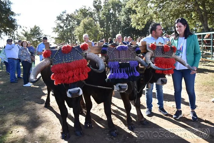 somoscomarca_aveiga_inauguracion_feriaganadera_2023 (18)