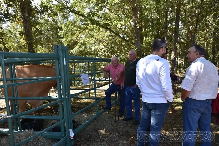 somoscomarca_aveiga_inauguracion_feriaganadera_2023 (31)