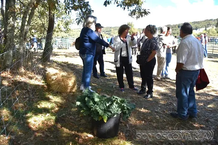 somoscomarca_aveiga_inauguracion_feriaganadera_2023 (33)
