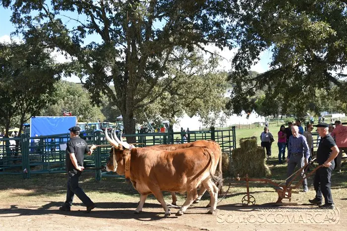 somoscomarca_aveiga_inauguracion_feriaganadera_2023 (36)