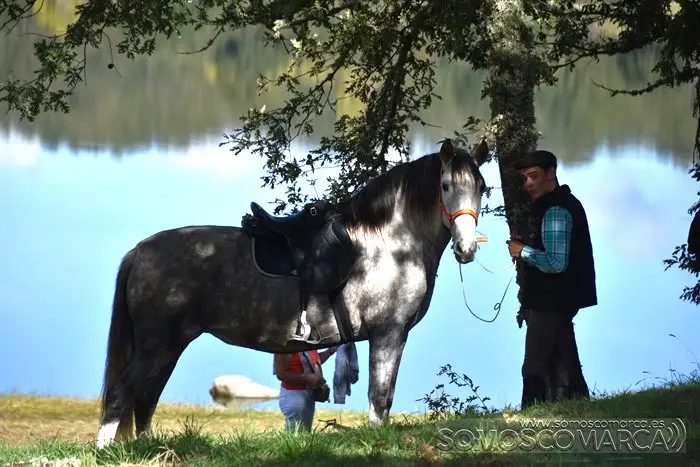 somoscomarca_aveiga_inauguracion_feriaganadera_2023 (37)