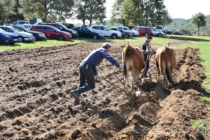 somoscomarca_aveiga_inauguracion_feriaganadera_2023 (39)