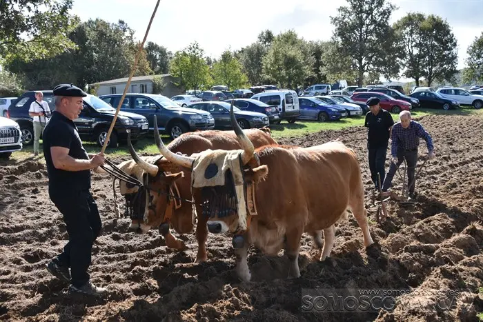 somoscomarca_aveiga_inauguracion_feriaganadera_2023 (40)