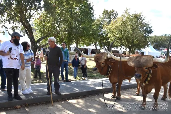 somoscomarca_aveiga_inauguracion_feriaganadera_2023 (45)