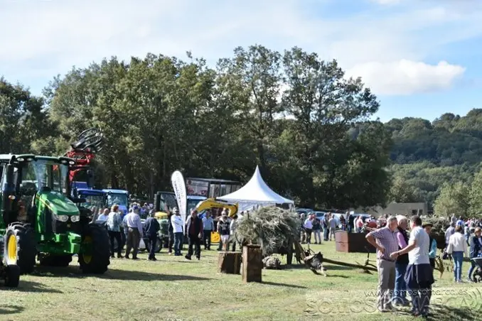 somoscomarca_aveiga_inauguracion_feriaganadera_2023 (47)