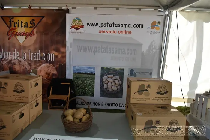 somoscomarca_aveiga_inauguracion_feriaganadera_2023 (69)