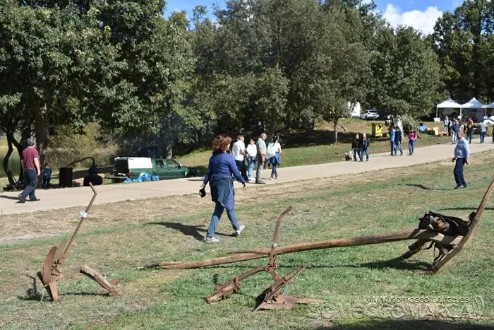 somoscomarca_aveiga_inauguracion_feriaganadera_2023 (77)