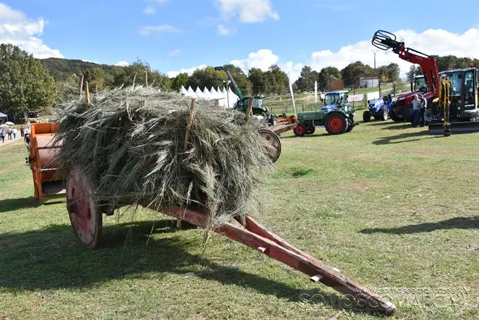 somoscomarca_aveiga_inauguracion_feriaganadera_2023 (78)