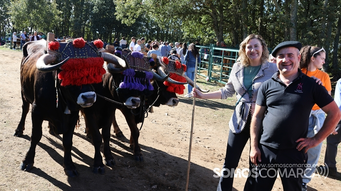 somoscomarca_20233768