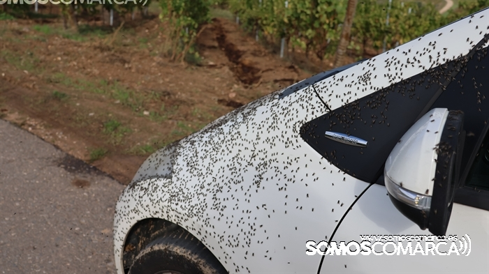 somoscomarca_231022_arua_rutabtt_ciclismo_deporte3903