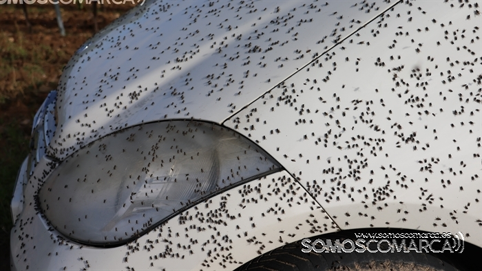 somoscomarca_231022_arua_rutabtt_ciclismo_deporte3908