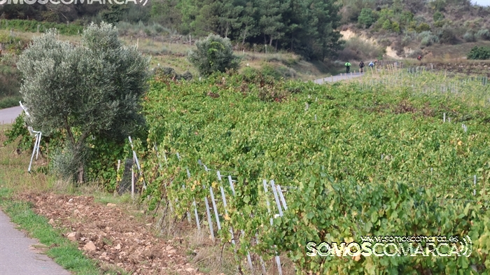 somoscomarca_231022_arua_rutabtt_ciclismo_deporte3909