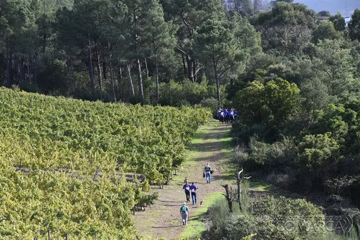 somoscomarca_vilamartin_obañadoiro_corgomo_carreracancerdepancreas_2023 (56)