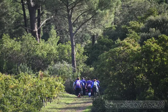 somoscomarca_vilamartin_obañadoiro_corgomo_carreracancerdepancreas_2023 (57)