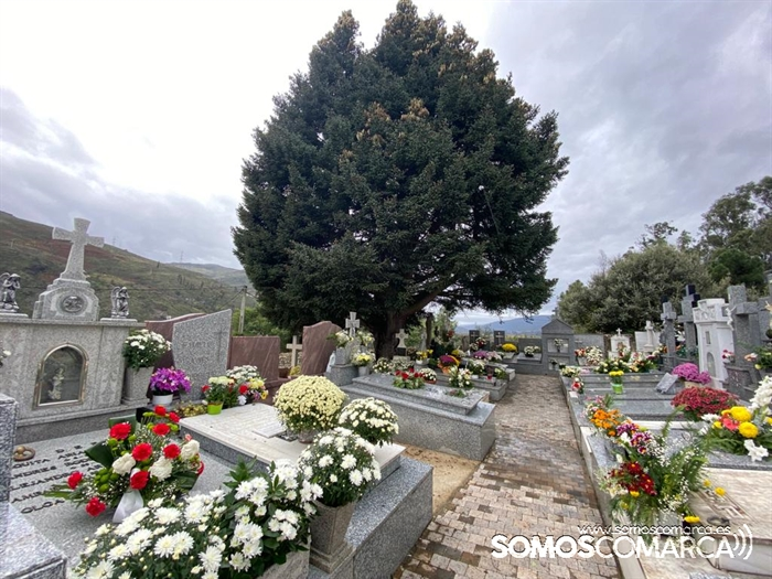somoscomarca_231031_cementerios_santos_obarco4191