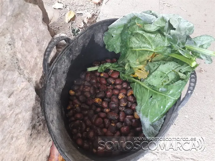 somoscomarca_obarco_ochao_magosto_clubpetanca_2023 (2)