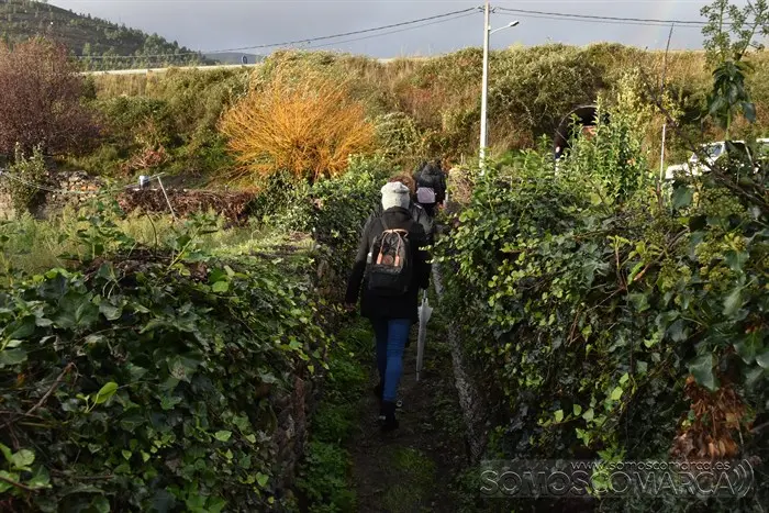 somoscomarca_aruavella_samaininfantil_2023 (46)