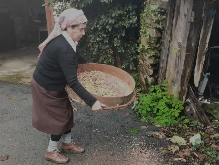 somoscomarca_231214_sanvicentedeleira_pisadacastaña (3)