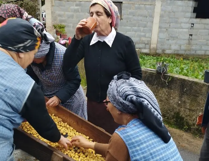 somoscomarca_231214_sanvicentedeleira_pisadacastaña (6)