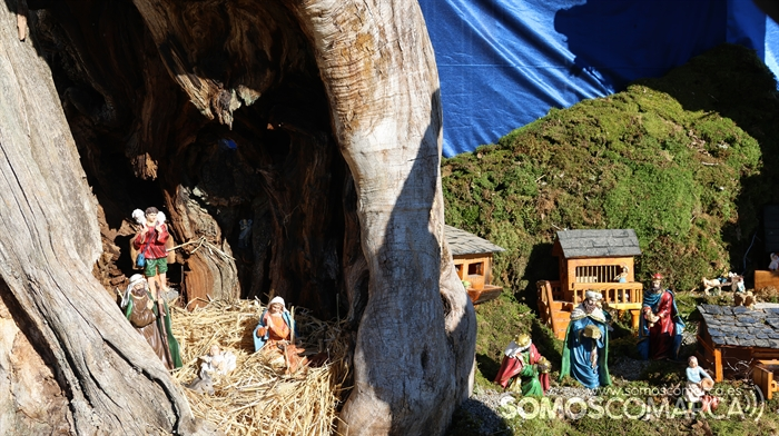 somoscomarca_231223_aveiga_nadalenxebre_navidad_nadal (15)